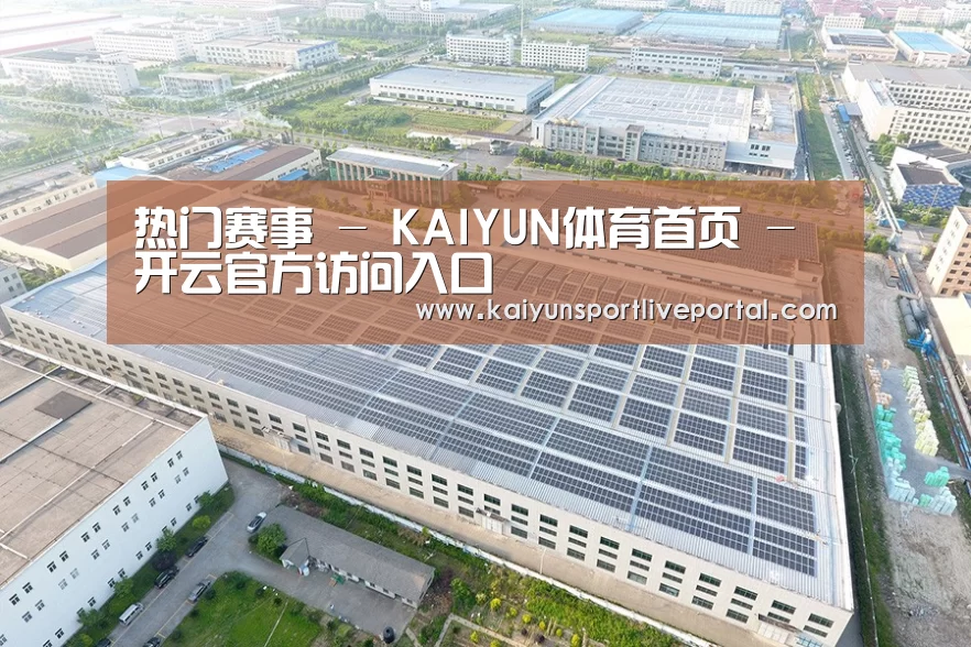 案例展示二