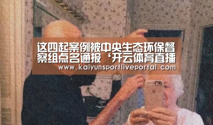这四起案例被中央生态环保督察组点名通报‘开云体育直播’(图2) KAIYUN官网