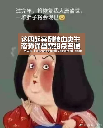 这四起案例被中央生态环保督察组点名通报‘开云体育直播’(图1) 开云体育直播