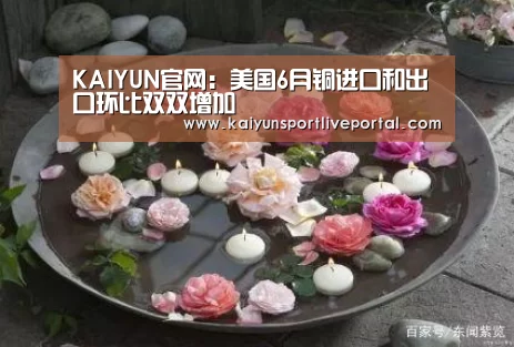 KAIYUN官网：美国6月铜进口和出口环